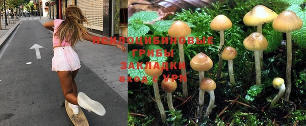 мет Бородино