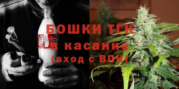 шишки Бронницы
