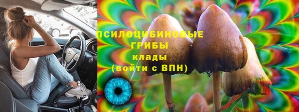 шишки Бронницы