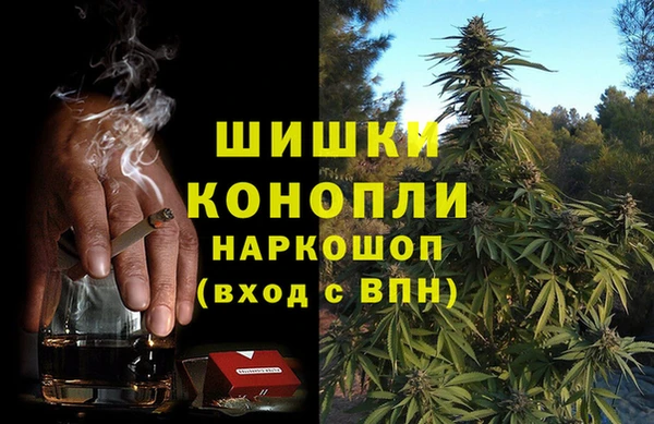 мет Бородино
